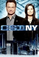 CSI: Nova York